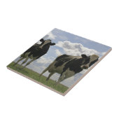 2頭のFriesian牛 タイル (側面)