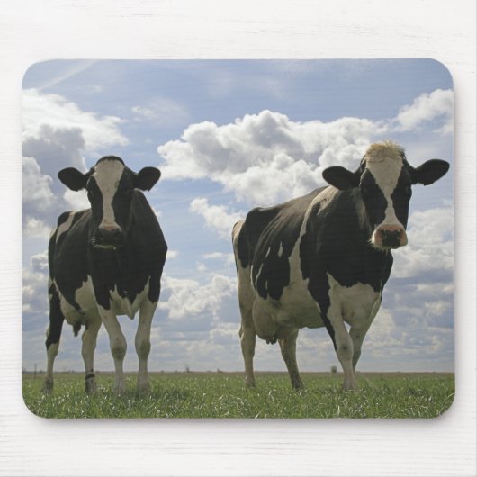 2頭のFriesian牛 マウスパッド (正面)