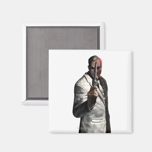 2顔色 マグネット (正面/裏面)