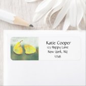 2黄および緑の梨 ラベル (インサイチュ)