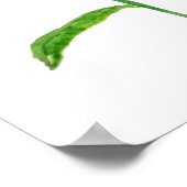 2黄色のエルサレムは水色を呈する ポスター (角)