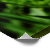 2黄色の花 ポスター (角)