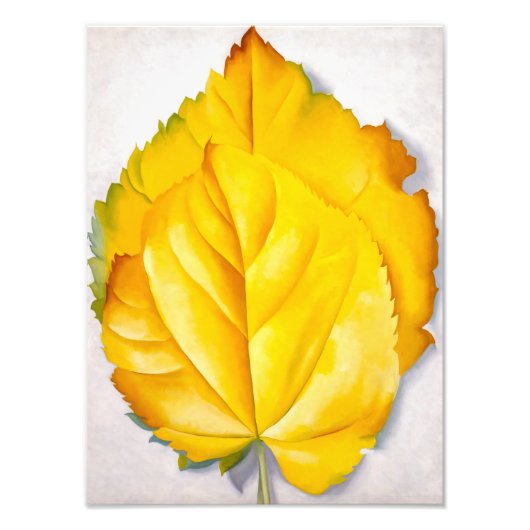 2黄離れ色 | ジョージアオキーフェ | フォトプリント            (正面)