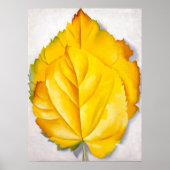 2黄離れ色 | ジョージアオキーフェ | ポスター (正面)