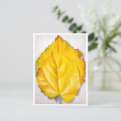 2黄離れ色 | ジョージアオキーフェ | ポストカード (スタンド正面)