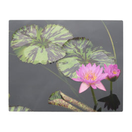 20インチx16インチ睡蓮 メタルプリント