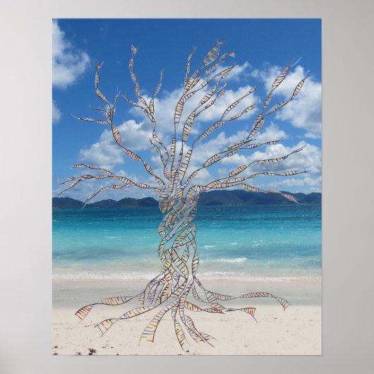 20インチx 16インチ、バリューポスター紙(マット) ポスター (正面)