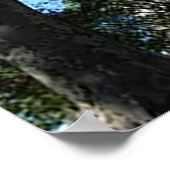 20インチx 16インチ、バリューポスター紙（マット） ポスター (角)