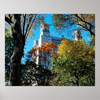 20インチx 16インチ、バリューポスター紙（マット） ポスター