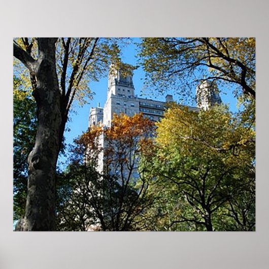 20インチx 16インチ、バリューポスター紙（マット） ポスター (正面)