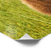 20インチx 26.67インチ光沢のあるグリズリーベアのポスター ポスター (コーナー)