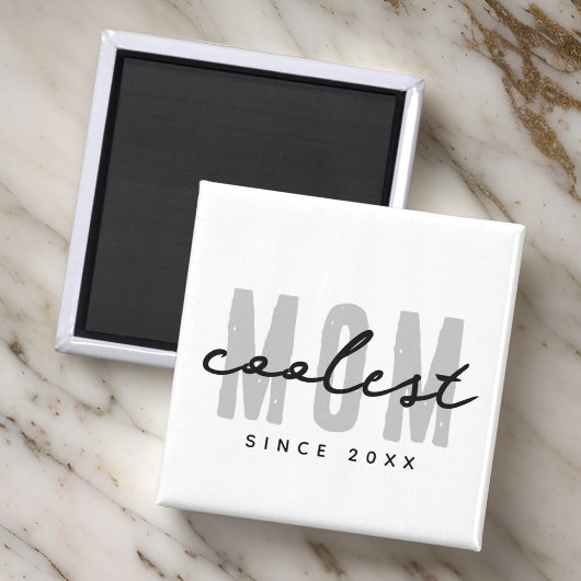 20クールXX年からのマモダンムシンプル名門私立校風の マグネット