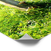 20ドル以下で開始 – かかし ポスター (角)