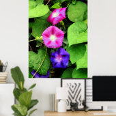 20ドル以下で開始 – ピンクと紫の朝のグロリ ポスター (ホームオフィス)