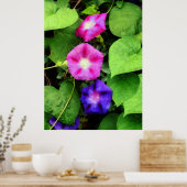 20ドル以下で開始 – ピンクと紫の朝のグロリ ポスター (キッチン)