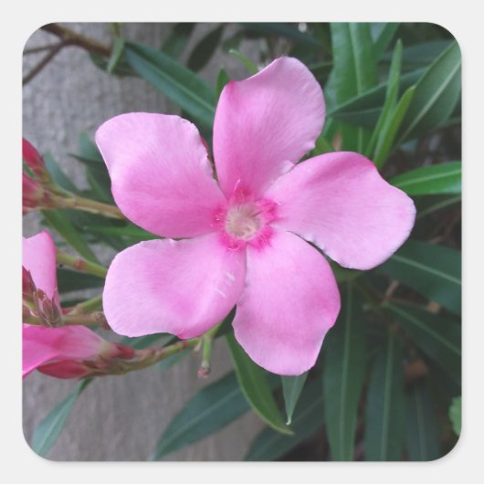 20ピース四方のスティーカー スクエアシール (正面)