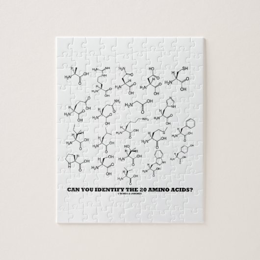 20個のアミノ酸を同定できるか？（化学） ジグソーパズル (縦)