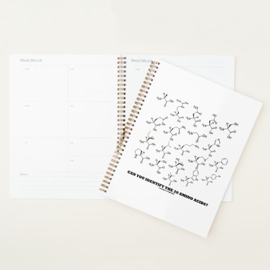 20個のアミノ酸を同定できるか?生化学 プランナー手帳 (ディスプレー)
