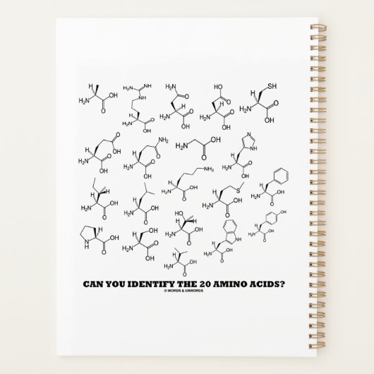 20個のアミノ酸を同定できるか？生化学 プランナー手帳 (裏面)