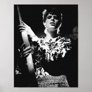 20周年デイヴ・ボウイ Ziggy Stardust ギターポスター トリビュート ポスター