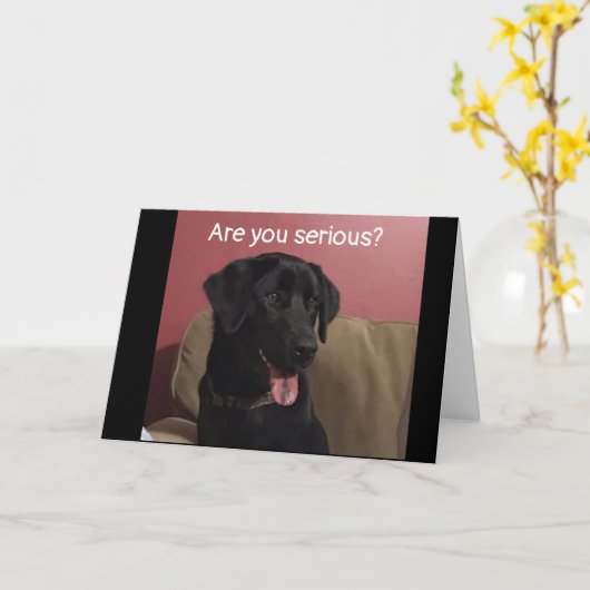 20番目の信じ誕生日で祝きない カード (黄色い花)