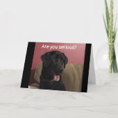 20番目の信じ誕生日で祝きない カード (正面)