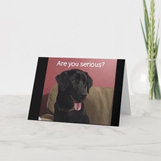 20番目の信じ誕生日で祝きない カード (正面)