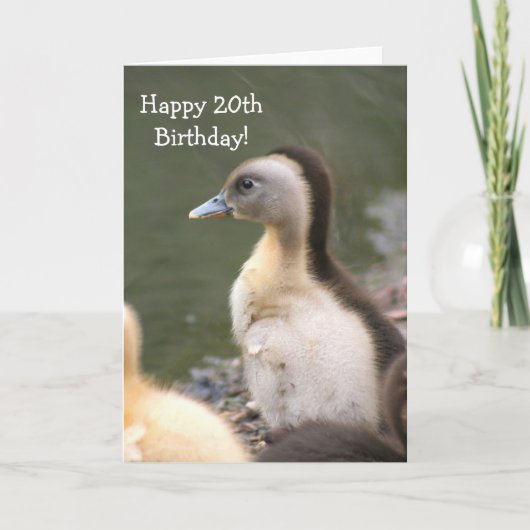 20誕生日目アヒルの挨拶状 カード (正面)