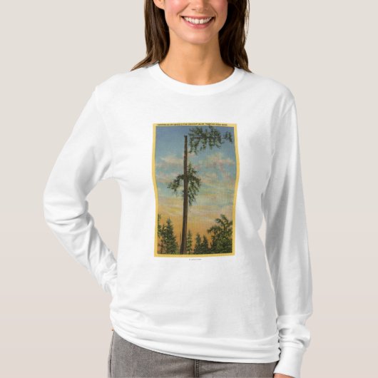 200フィートの航行のための巨大なトウヒを越えること Tシャツ (正面)