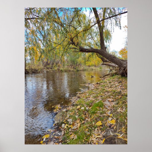 2000年葉間遊のメロディ ポスター (正面)