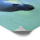 2003年も同様に魅力的 ポスター (角)