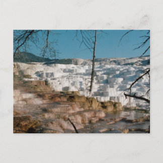 2003 -イエローストーン01 ポストカード