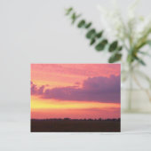 2004年の夕焼けの写真　マーク・エドワード・ウェスターフィールド ポストカード (スタンド正面)