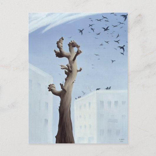 2004年コンスタネーション ポストカード (正面)