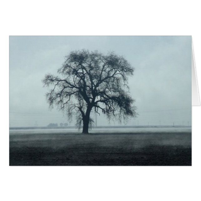 2004February 260 (正面横)