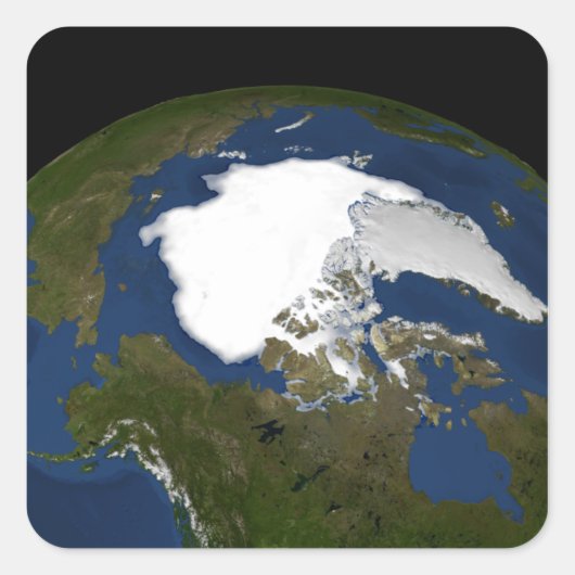 2005年北極海氷 スクエアシール (正面)