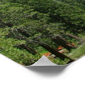 2005年5月ヨセミテ198、撮影:Barbara Earl ポスター (角)