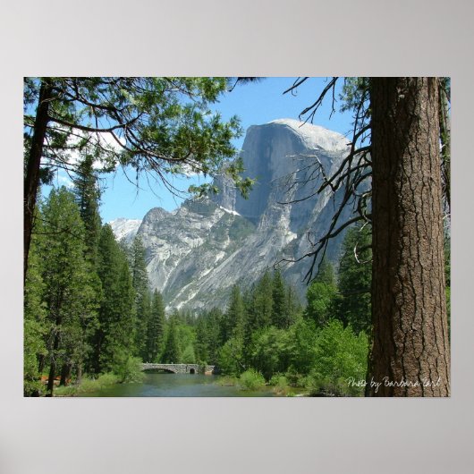 2005年5月ヨセミテ198、撮影:Barbara Earl ポスター (正面)
