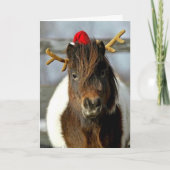 2005 OMRHのクリスマスカードの写真の最初場所の勝者 シーズンカード (正面)