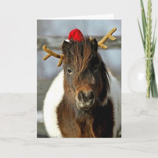 2005 OMRHのクリスマスカードの写真の最初場所の勝者 シーズンカード (正面)