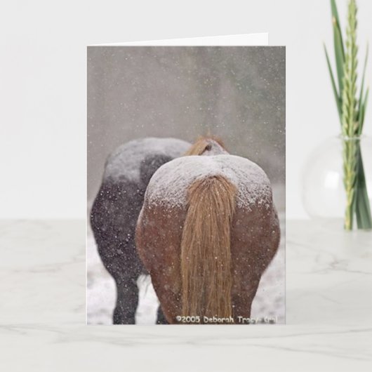 2005 OMRHのクリスマスカードの写真第2の場所の勝者 シーズンカード (正面)