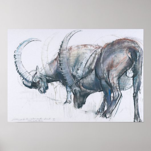 2006年冬の建物アップ ポスター (正面)