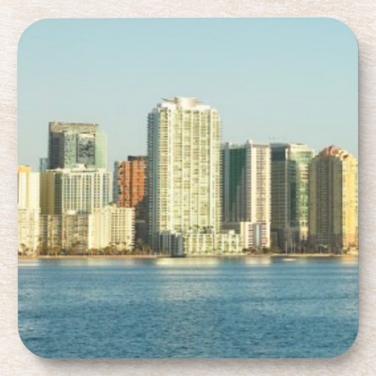 2006年3月。2日 コースター (正面)