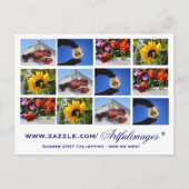 2007夏のコレクション ポストカード (正面)