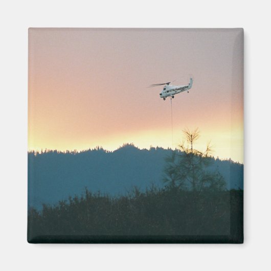 2007年のウォローズ・ファイヤー… マグネット (正面)