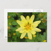 2007年フラワーシリーズ ポストカード (正面/裏面)