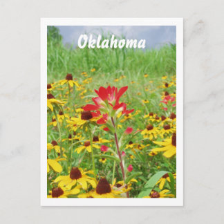 2007年7月インディアンpaintbursh，オクラホマ ポストカード