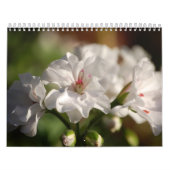 2008の花の写真のカレンダー カレンダー (カバー)