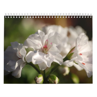 2008の花の写真のカレンダー カレンダー