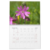 2008人のスイス人の花のショーケースのカレンダー カレンダー (2月 2026)